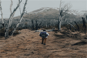 四川简阳中学2024年招生简章