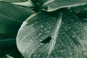 仁怀第一中学2024年招生录取分数线