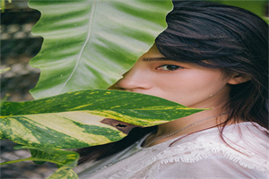 鹤壁汽车工程职业学院历年录取分数线