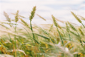 南宫职教中心地址在哪里