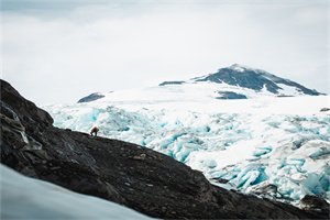 2024年乐山职业技术学院单招计划