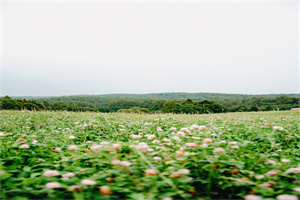 西安2024年卫校学什么