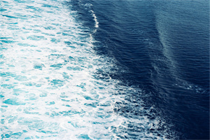 2023年湖南体育职业学院招生章程