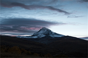 达州职业技术学院五年制大专网站网址