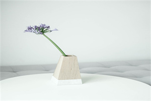 初中生怎么学英语口语最快 这些方法技巧赶快收藏