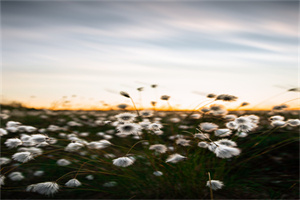 2023山东警察学院在日照招多少人？