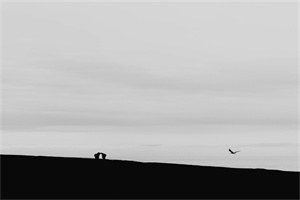 四川科技职业学院五年制大专网站网址