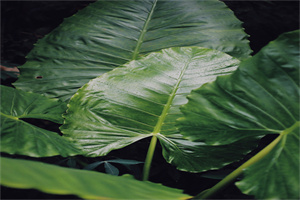 河南护理职业学院地址在哪里