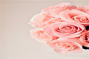 2023增强初三学生记忆力的简单方法