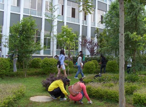 云南经贸外事学校图片