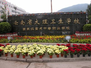 大理卫生学校|大理卫校