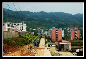 金平县职业高级中学