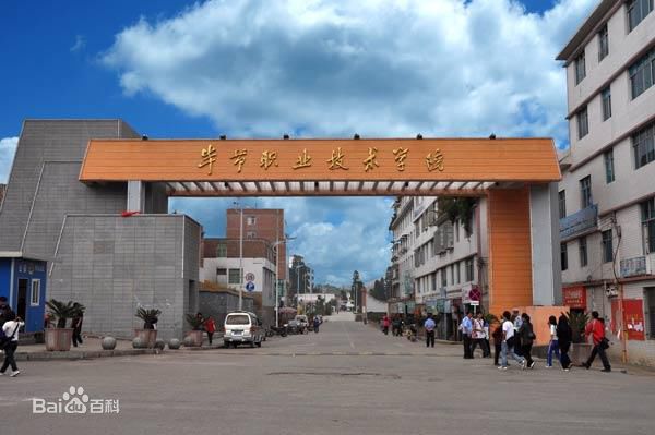 毕节地区信息工程学校