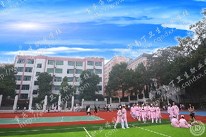 重庆市南丁卫生职业学校（南丁卫校）