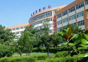 礼泉县职教中心图片